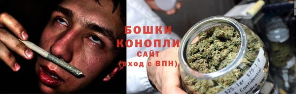 твердый Осинники