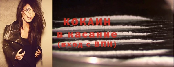 гидра Корсаков