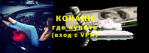гидра Корсаков