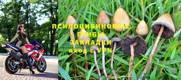 твердый Осинники
