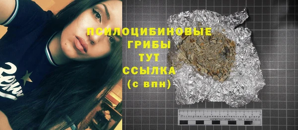 молекула духа Краснослободск
