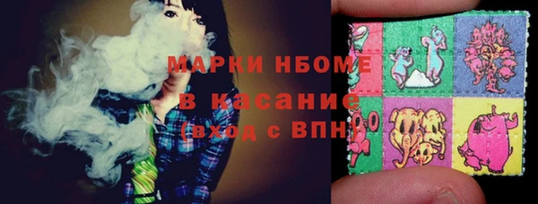 твердый Осинники