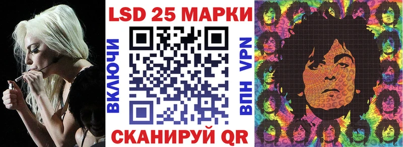 дарнет шоп  Куртамыш  Наркотические марки 1500мкг 